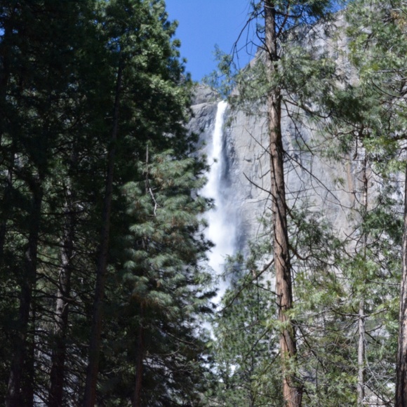 Meet your Posher, Gabriela - Picture 1 of 1